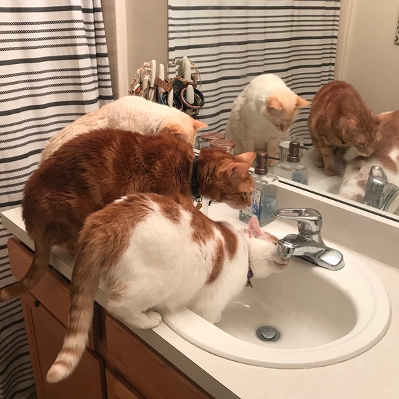 Hey, I’m Kate! 🙋🏼♀️ Welcome to my closet! - Picture 8 of 8